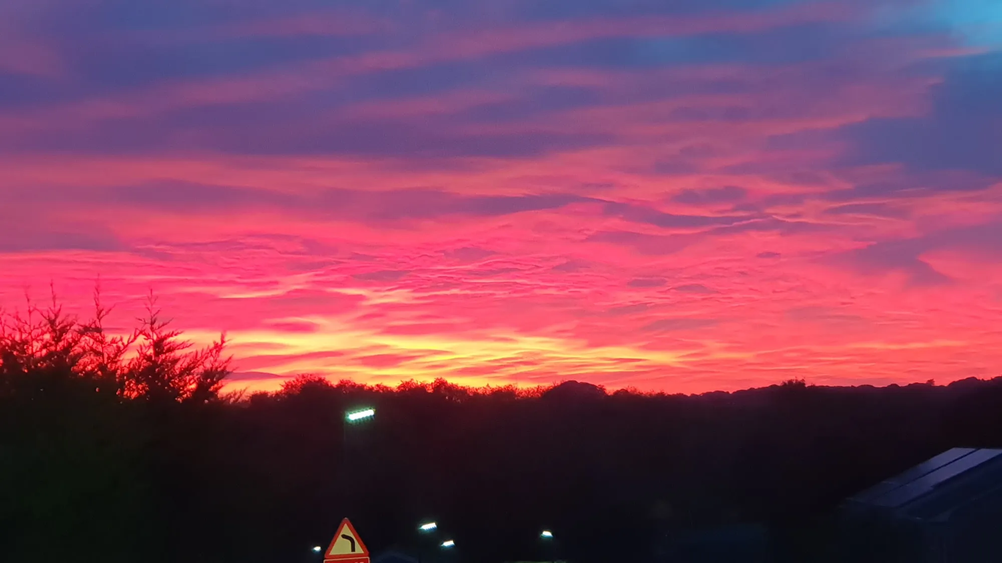 A pink and orange sunset over a dark line of trees.